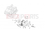 APRILIA Tuono V4 1100 Factory (ZD4TYH) Cover