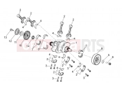 APRILIA Tuono V4 1100 Factory (ZD4TYH) Drive shaft