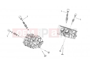 APRILIA Tuono V4 1100 Factory (ZD4TYH) Valves pads