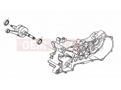 DERBI Atlantis 50 4T Drive shaft