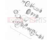 DERBI GPR 125 RACING & R 125 Drive shaft