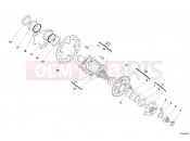DUCATI Monster S2R 1000 HUB, REAR WHEEL » REAR WHEEL