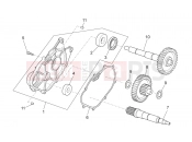 APRILIA SCARABEO 2009 Scarabeo 125-200 Light ENGINE » Transmission