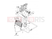 YAMAHA YFM 350 Bruin YFM350A YFM35BAV BRUIN 2WD 5WH8 2006 OIL PUMP