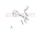 YAMAHA YFM 250 Bruin YFM250 YFM250BV BRUIN 1P07 2006 CAMSHAFT & CHAIN