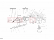 DUCATI 2008 Sportclassic 1000 OIL PUMP - FILTER » LUBRICATION SYSTEM