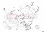 DUCATI Superbike 1098 S Tricolore THROTTLE BODY » INTAKE, CARBURETTOR