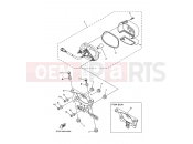 YAMAHA YFZ 450 YFZ450 YFZ450T 5TG9 2005 TAILLIGHT 2