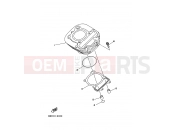 YAMAHA YFM 250 Bruin YFM250 YFM250BT BRUIN 250 1P02 2005 CYLINDER