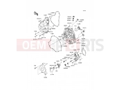 KAWASAKI VERSYS (KLE650A8F) Engine Cover(s)