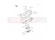 KAWASAKI 2009 Cylinder/Piston(s)