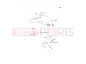 KAWASAKI 2009 Decals(Ebony)