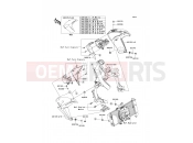KAWASAKI 2009 Shroud