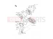 KAWASAKI NINJA 250R (EX250K9FA) Engine Cover(s)