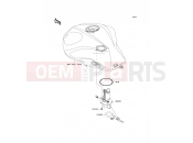 KAWASAKI 2009 Fuel Pump