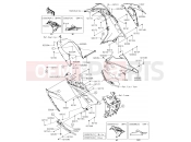 KAWASAKI 2017 Cowling Lowers