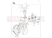 KAWASAKI 2017 Throttle