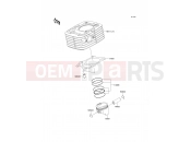 KAWASAKI 2010 Cylinder/Piston(s)
