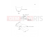 KAWASAKI 2010 Decals(C.L.Green)(White)
