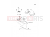 KAWASAKI 2010 Decals(Ebony)