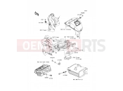KAWASAKI 2010 Fuel Injection