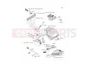 KAWASAKI 2010 Fuel Injection
