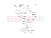KAWASAKI 2011 Side Covers/Chain Cover