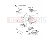 KAWASAKI 2011 Fuel Injection