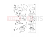 KAWASAKI W800 (EJ800ACF) Left Engine Cover(s)