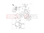KAWASAKI W800 (EJ800ACF) Right Engine Cover(s)