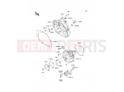 KAWASAKI 2013 Engine Cover(s)