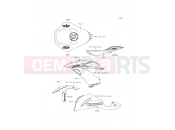 KAWASAKI 2013 Decals(P.F.S.White)