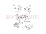 KAWASAKI 2013 Fuel Injection
