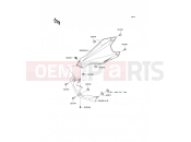 KAWASAKI 2013 Cowling Lowers