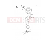 KAWASAKI 2014 Cylinder/Piston(s)