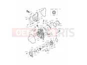 KAWASAKI 2015 Engine Cover(s)