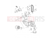 KAWASAKI 2015 Oil Pump