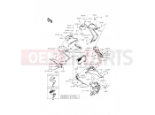 KAWASAKI 2015 Cowling Lowers