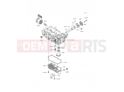 KAWASAKI 2016 Oil Pump