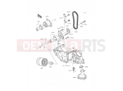 KAWASAKI 2016 Oil Pump