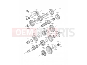 KAWASAKI W800 (EJ800AGF) Transmission
