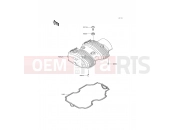 KAWASAKI W800 (EJ800AGS) Cylinder Head Cover