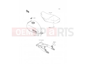 KAWASAKI W800 (EJ800AGS) Labels