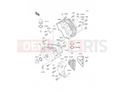 KAWASAKI 2001 Engine Cover(s)
