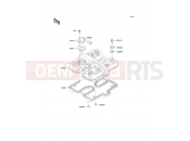 KAWASAKI ER-5 (ER500-C4P) Cylinder Head Cover