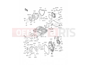 KAWASAKI 2007 Engine Cover(s)