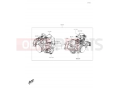 KAWASAKI 2019 Throttle