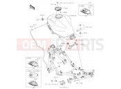 KAWASAKI 2019 Fuel Tank