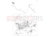 KAWASAKI 2019 Throttle
