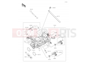 KAWASAKI 2019 Throttle